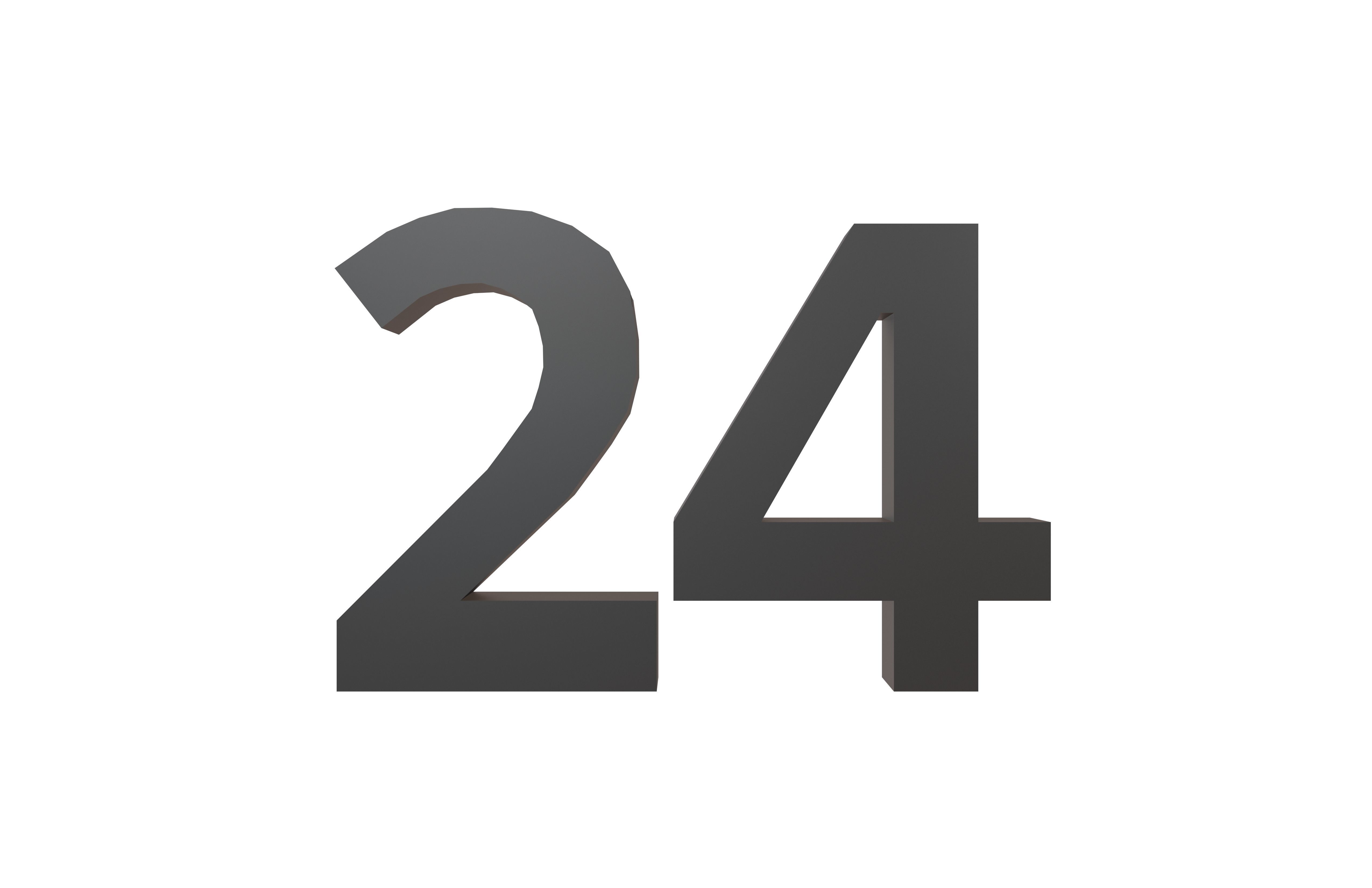 Date Number 24 v1 001 Low-poly 3D model_1