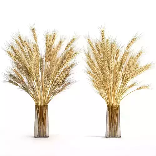 Decorative bouquet of wheat ears in a vase for decor 124