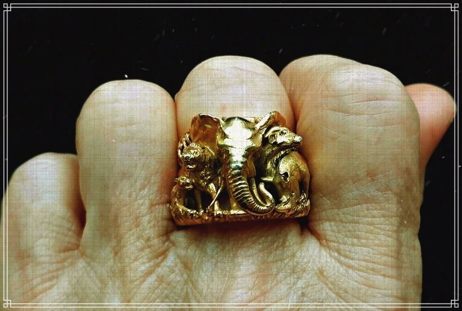 Big five animal ring 3D print model_16