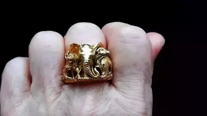 Big five animal ring  3D print model