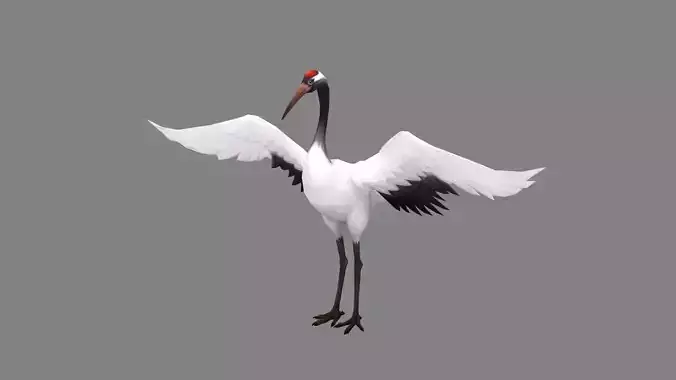 Cartoon White Crane - Red crowned Crane Low-poly 3D model