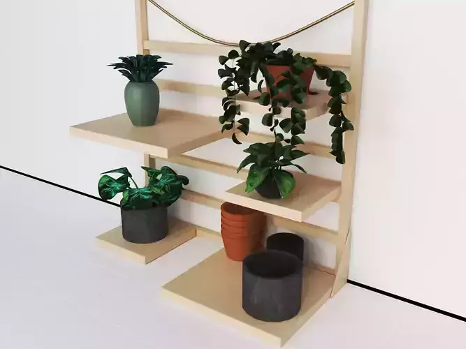 Plants collection wooden shelf with potted