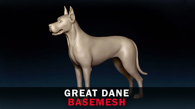 Great Dane Base Mesh 3D model