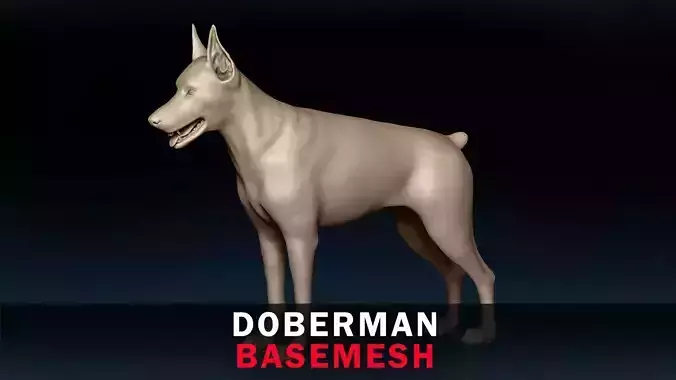 Doberman Base Mesh 3D model