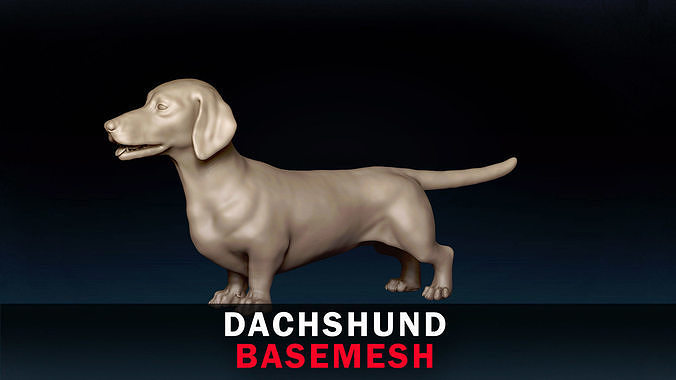 Dachshund Base Mesh 3D model
