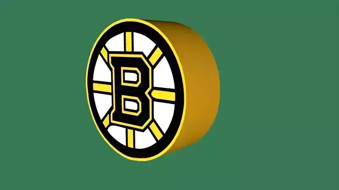 Boston Bruins Team Logo