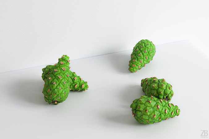 Pinecone 3D model