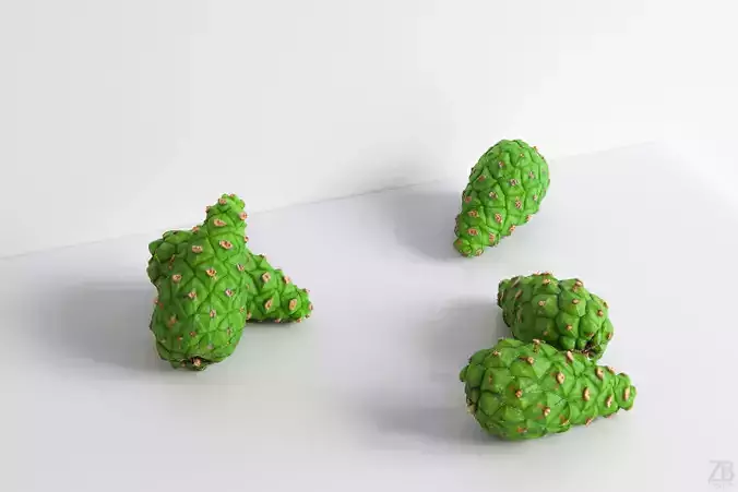Pinecone 3D model
