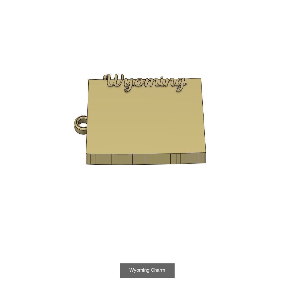 50 States Charms  3D Model Collection_56
