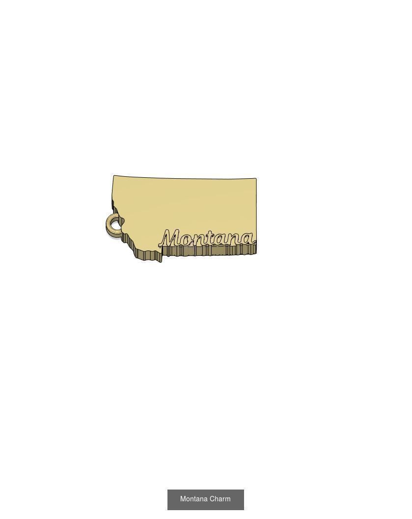 50 States Charms  3D Model Collection_33