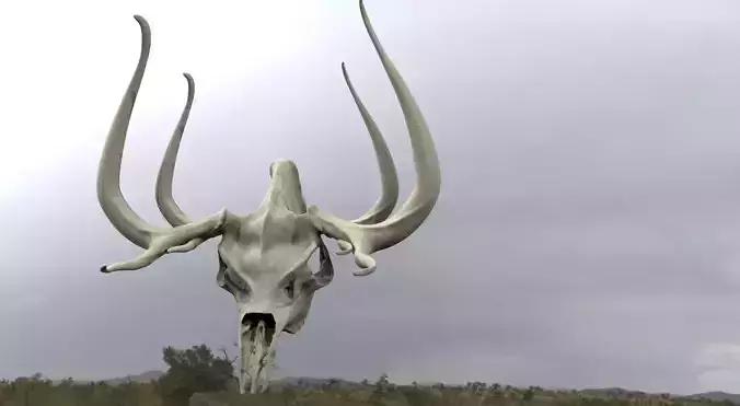 Deer scull modified 3D model