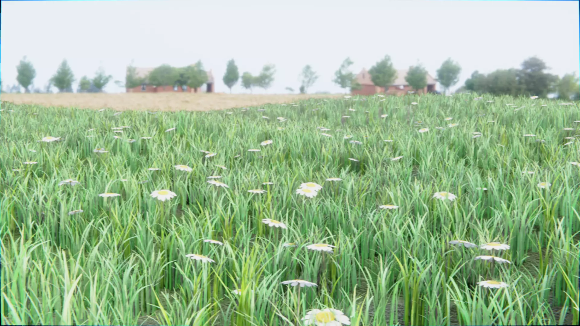 Grass 1 - Tall Grass 3D model