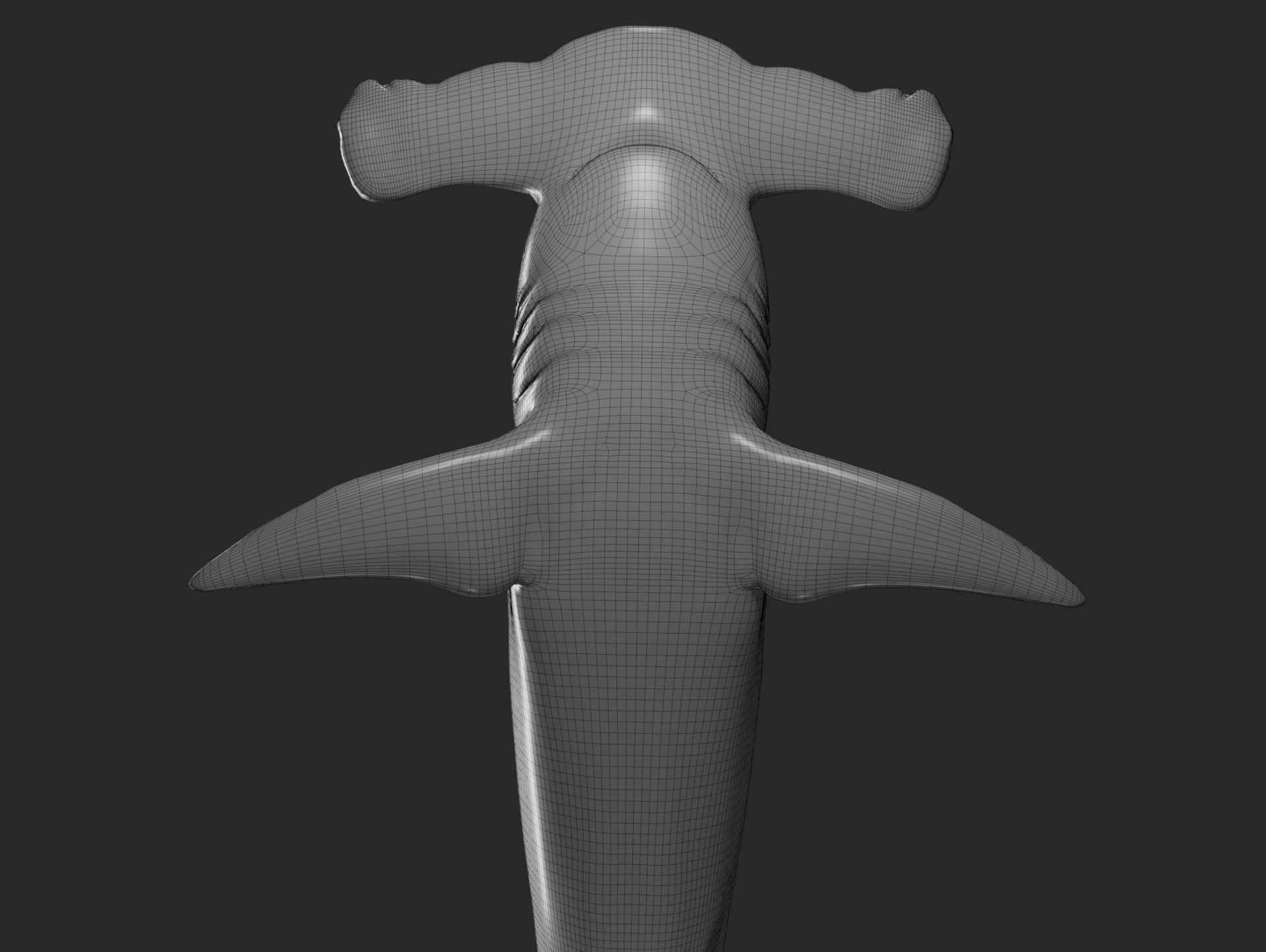 hammerhead shark base mesh obj 3D model_4