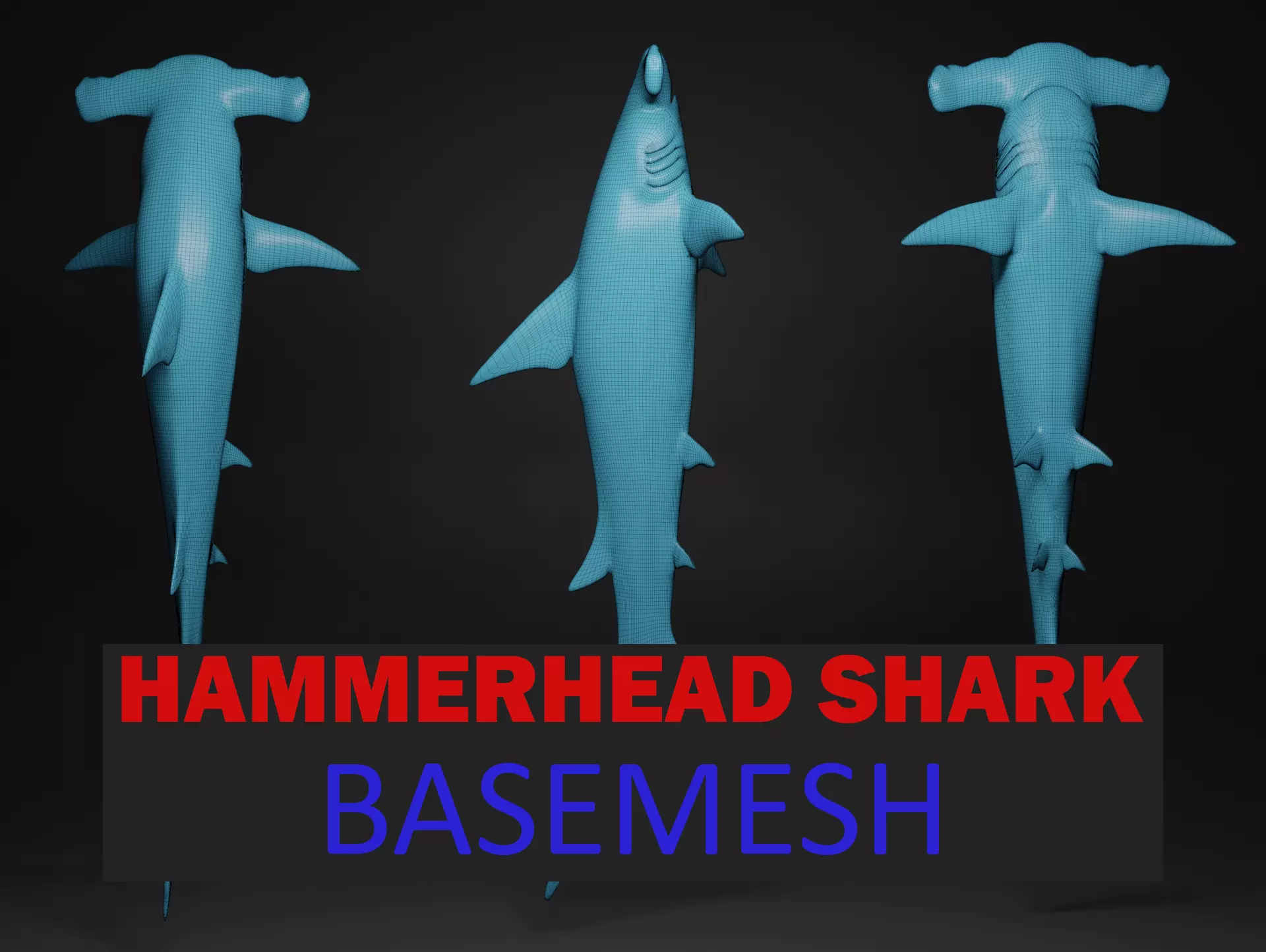 hammerhead shark base mesh obj 3D model_0
