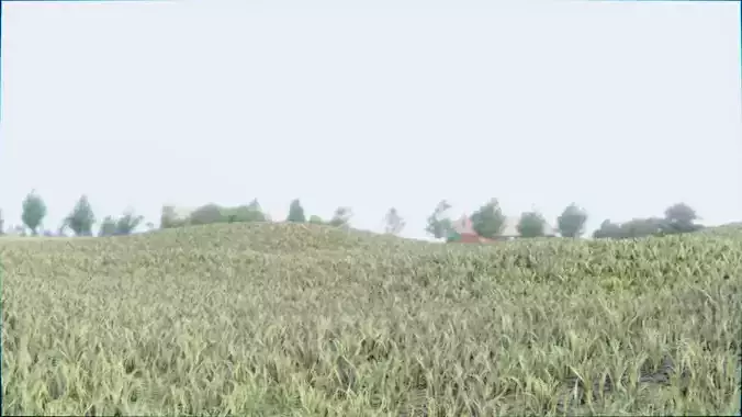 Grass 3 - Short Grass