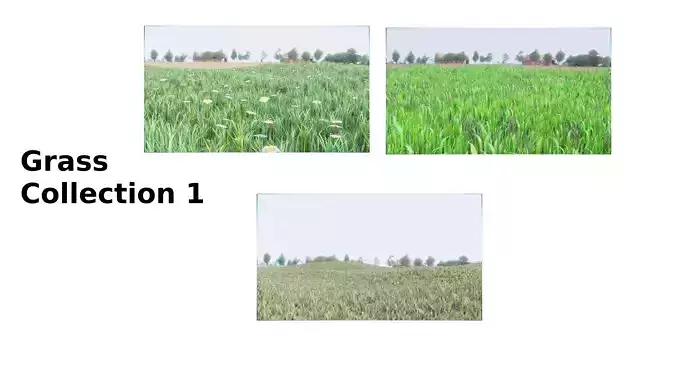 Grass Collection 1 field