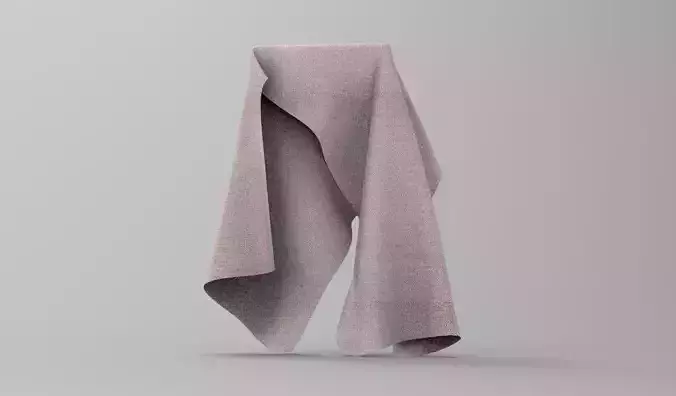 Cloth FBX 675