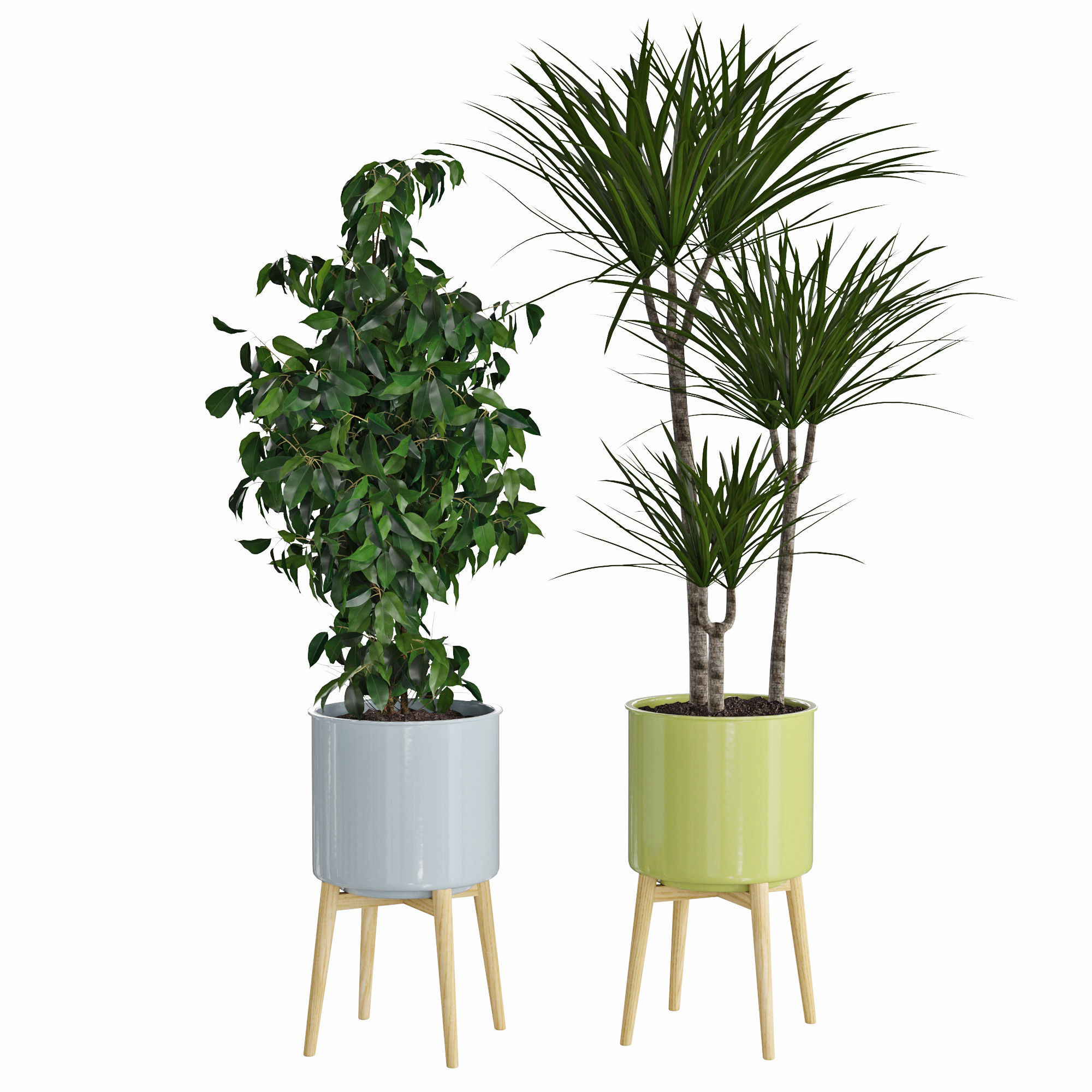 Houseplant 71 3D model_3