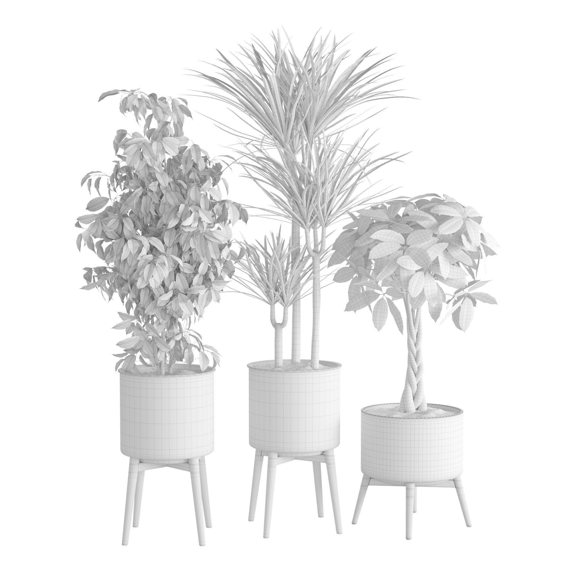 Houseplant 71 3D model_1