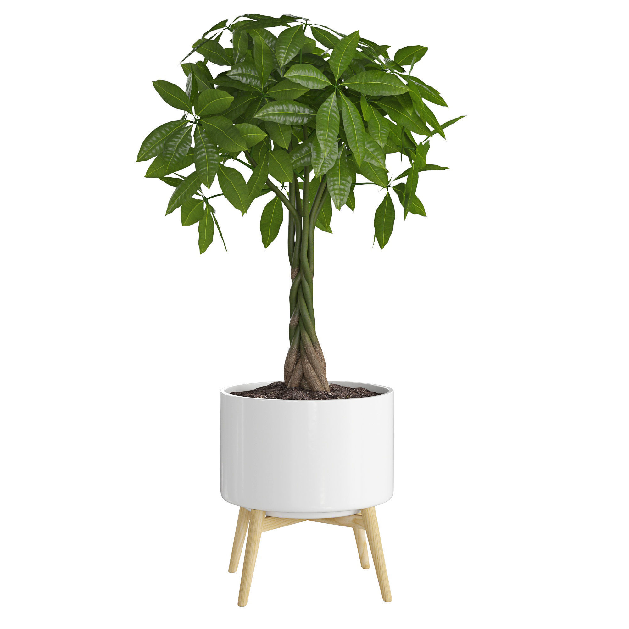 Houseplant 71 3D model_2