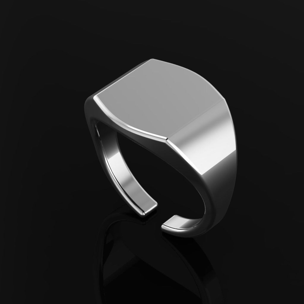 p8 ring 3D print model_1