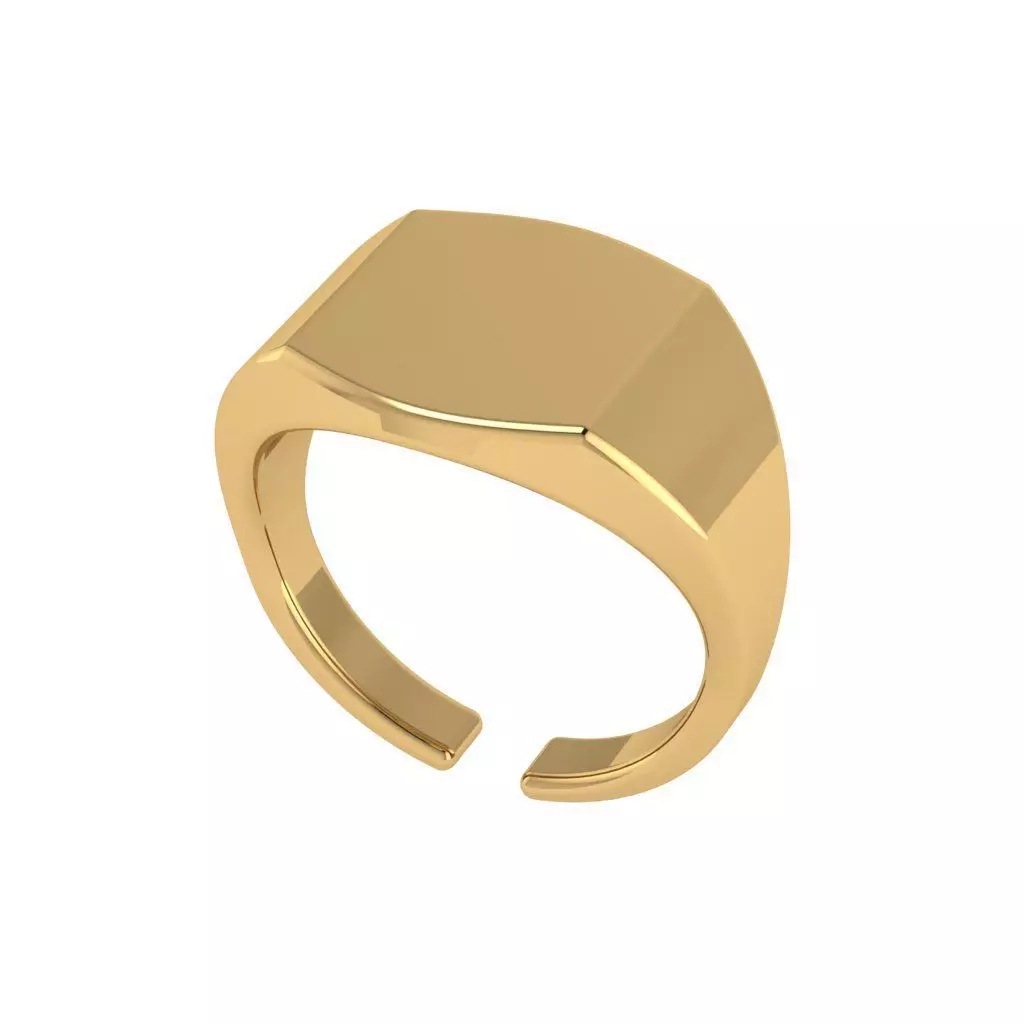 p8 ring 3D print model_0