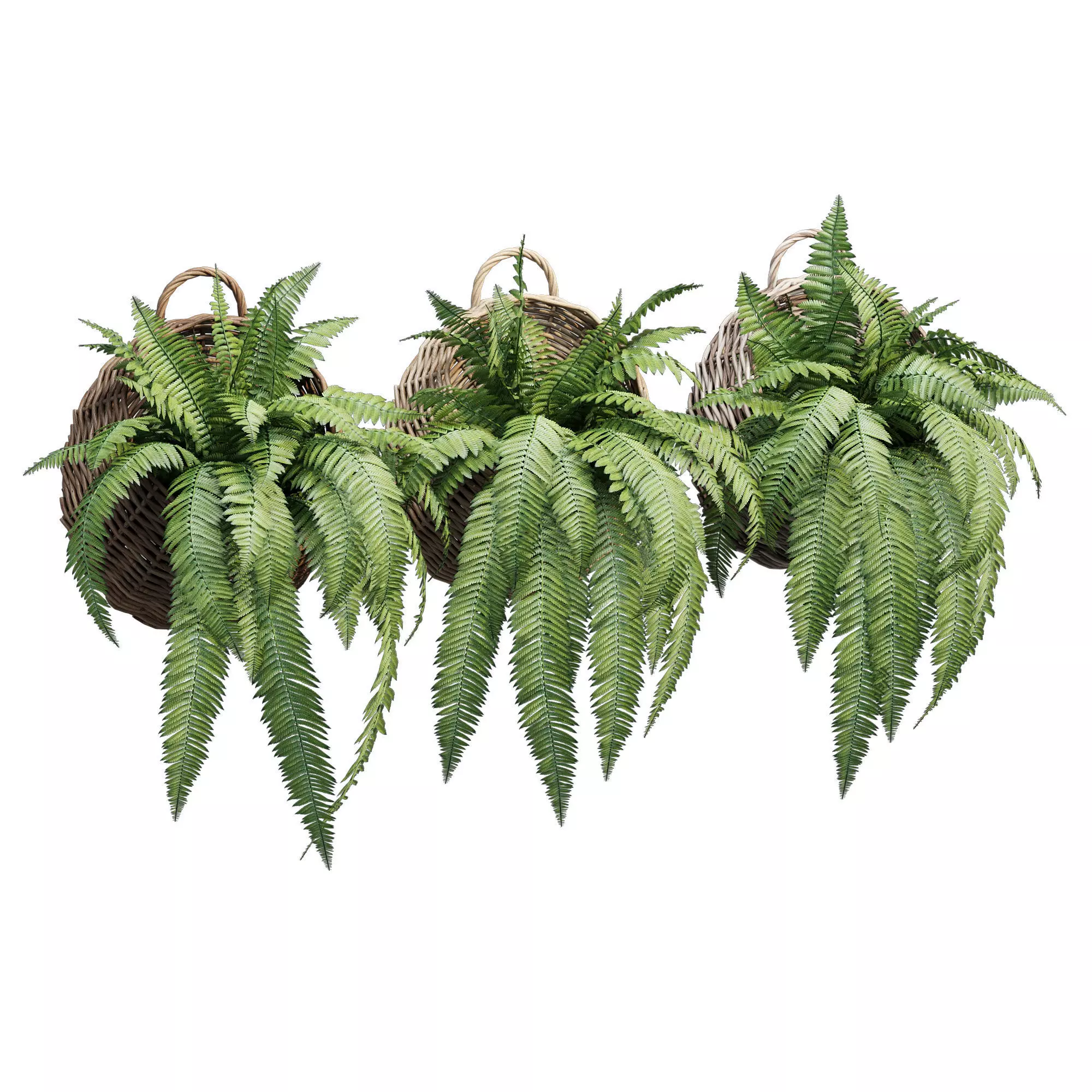 Wicker basket two 3D model_0