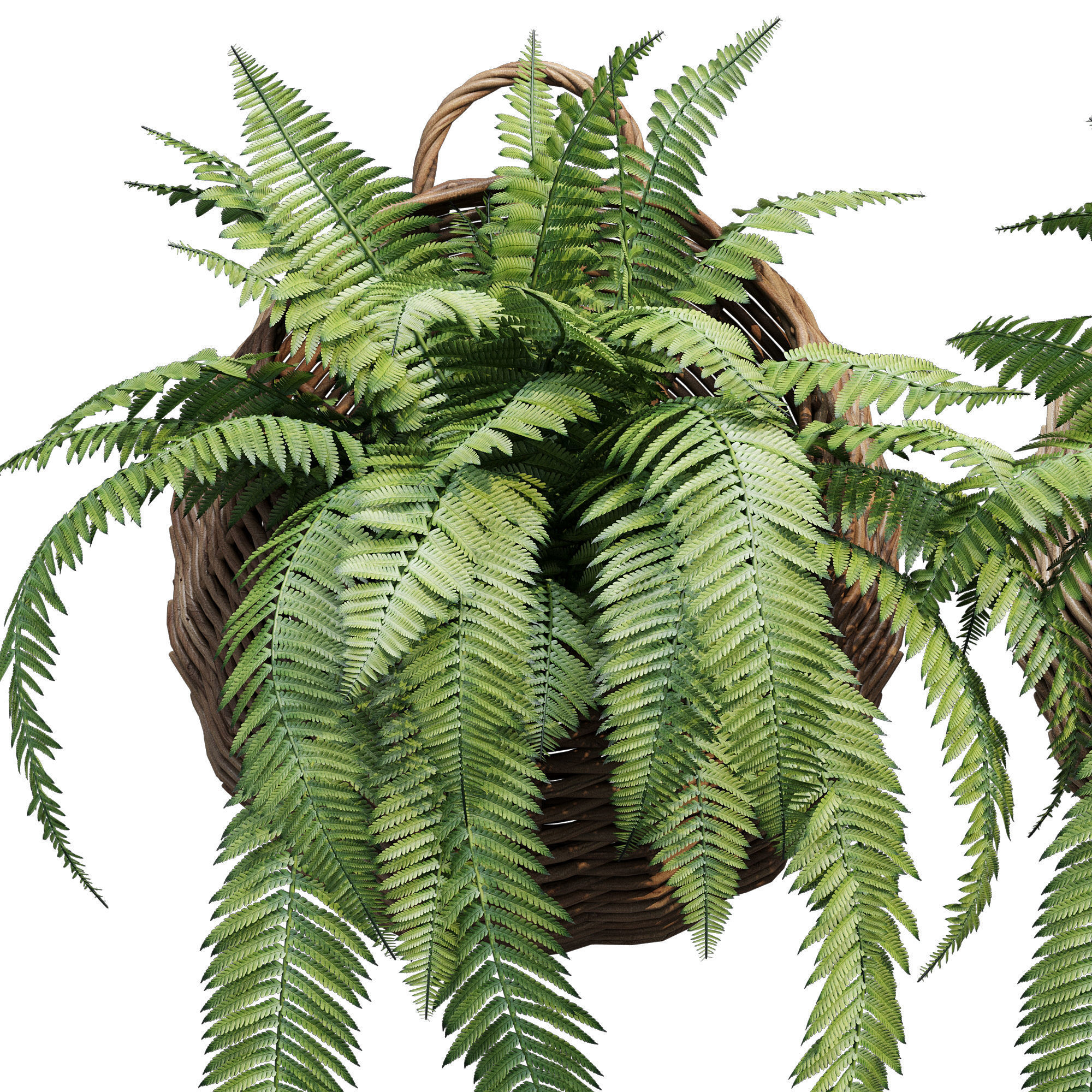 Wicker basket two 3D model_4