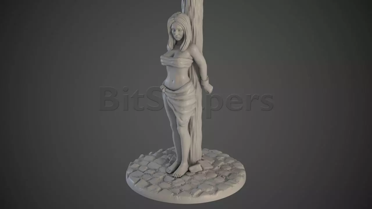 Slave girl 03 Pole 3D print model_0