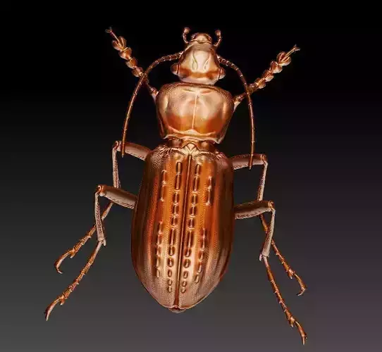 Longhorn beetle 3D print model