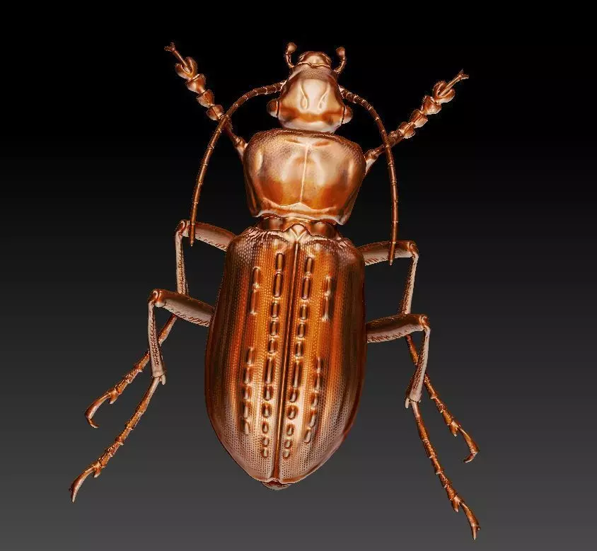 Longhorn beetle 3D print model