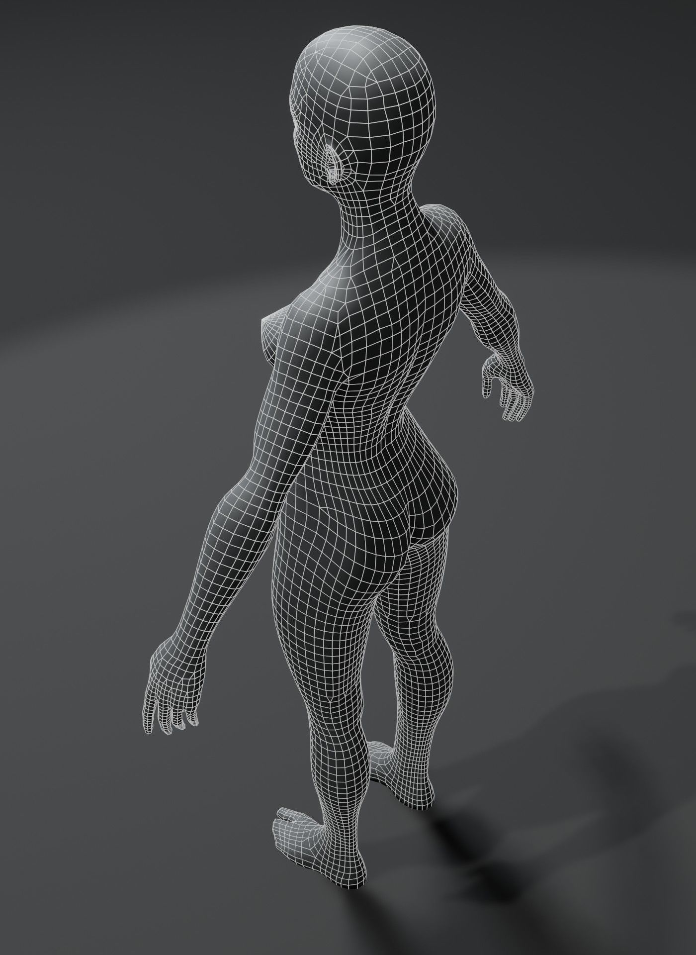 Human Body Base Mesh 10 3D Models Collection 10k Polygons _28