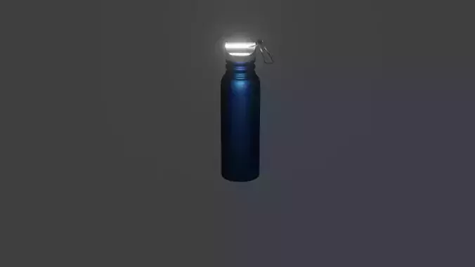 Water Bottle Free 3D print model