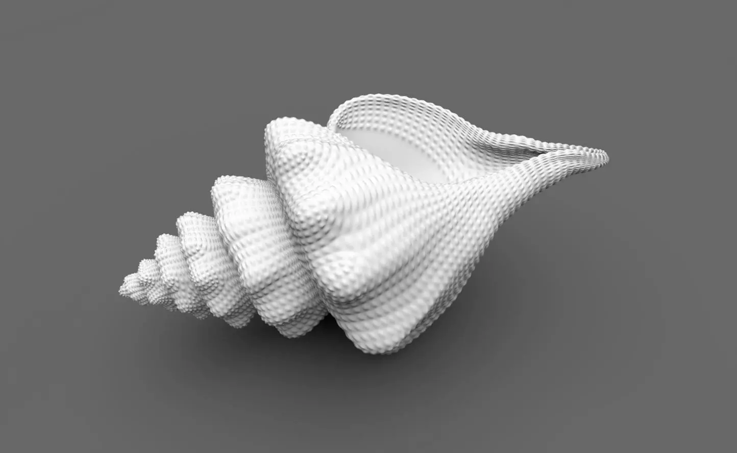 Snail Shell 3D print model