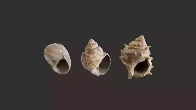 Small Shell Pack