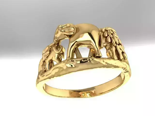 Elephant Ring 3D print model