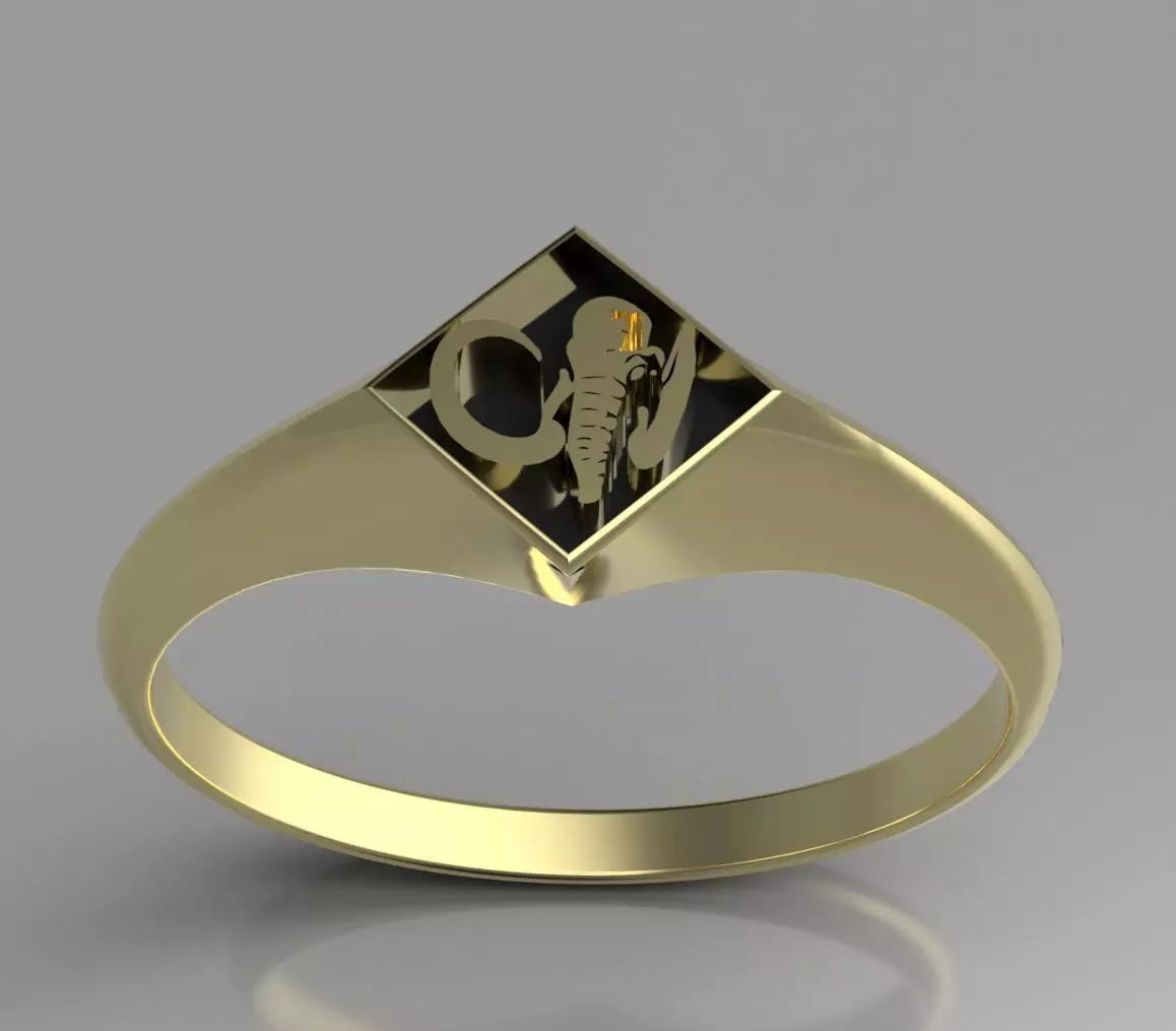 Black Power Ranger Signet 3D print model