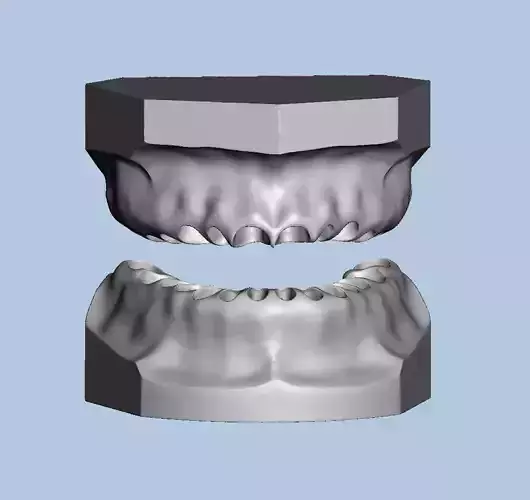 Ortho model style base for typodont