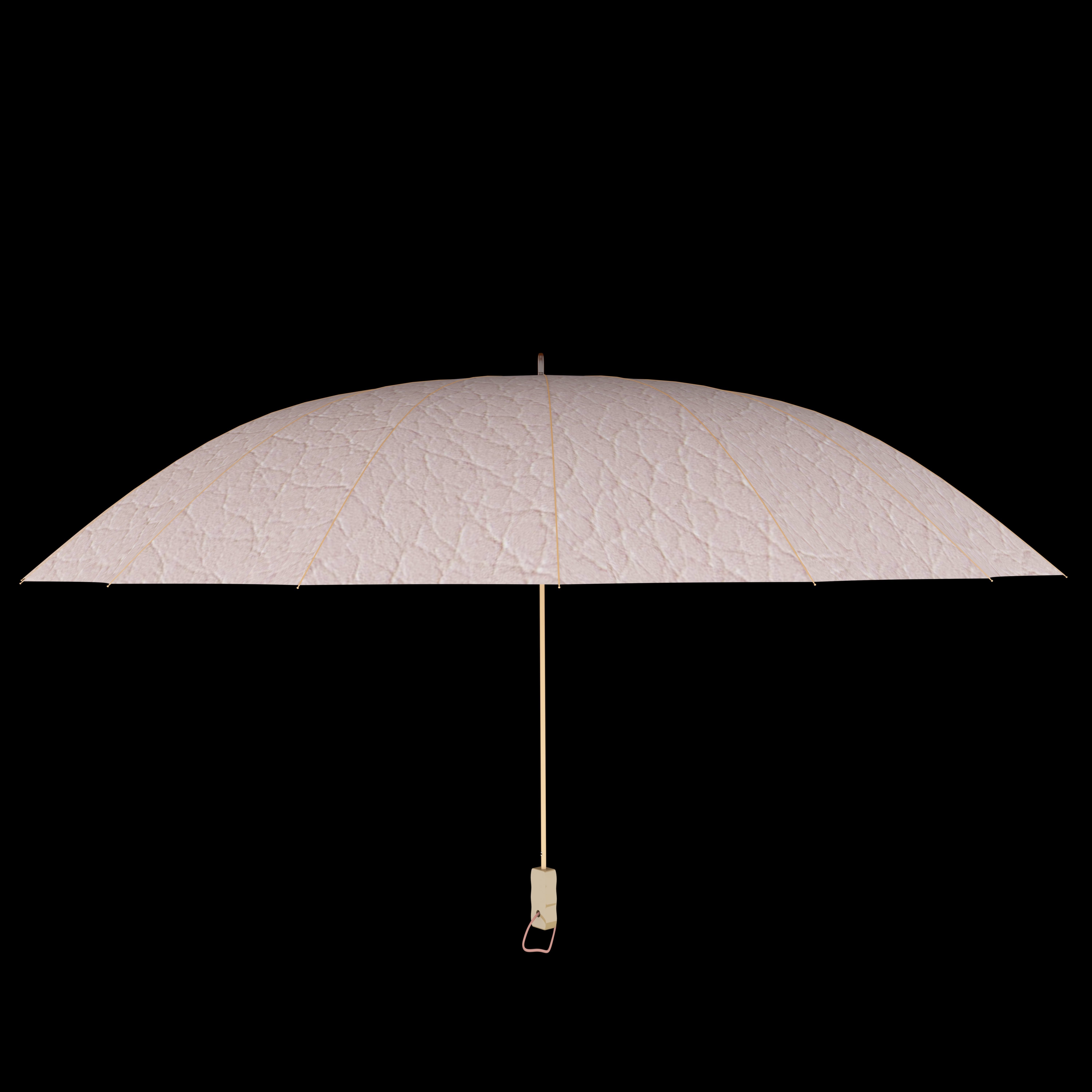 umbrella 3D model_1
