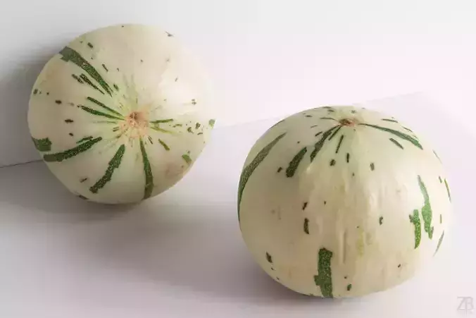 Melon