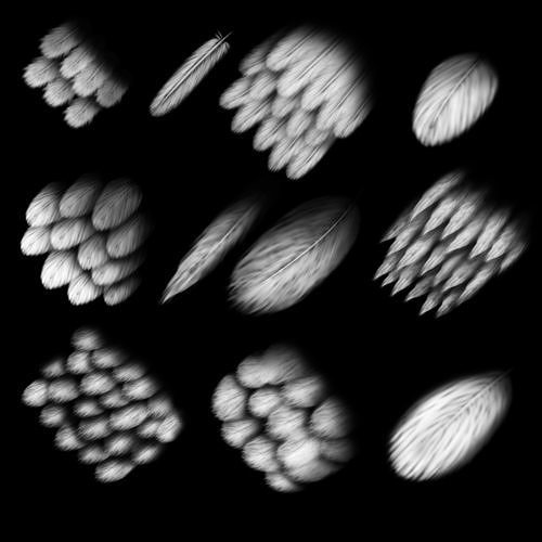 11 feather alpha maps Texture
