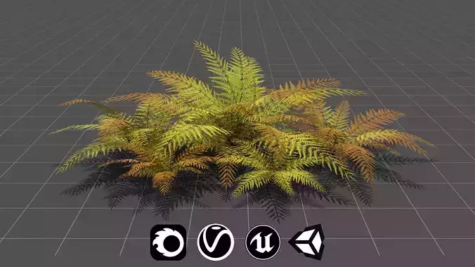 Big Fern - High Quality Low-Poly Models -UE4-Unity-Vray-Corona