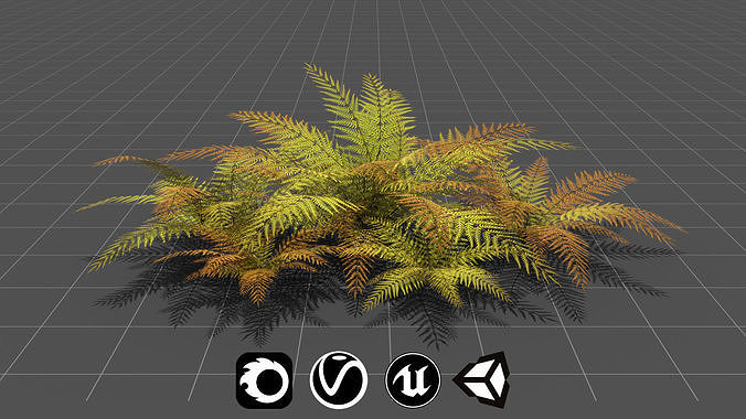 Big Fern - High Quality Low-Poly Models -UE4-Unity-Vray-Corona Low-poly 3D model