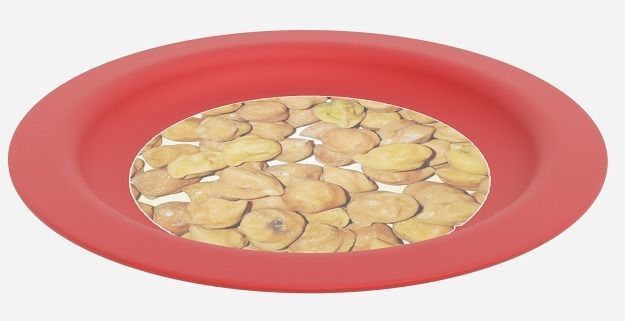 Exemplary Dinner Plate 3D model_1