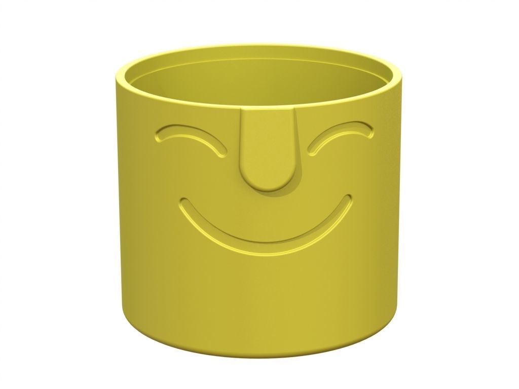 The cachepot cup with face 3D print model_2