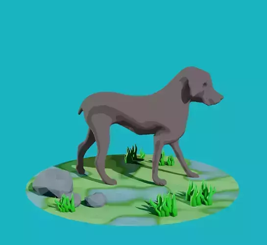 Dog 3D Models Cartoon Styles