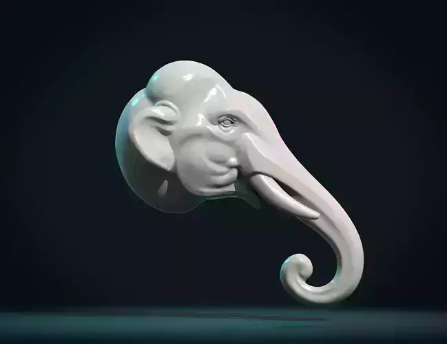 Elephant head