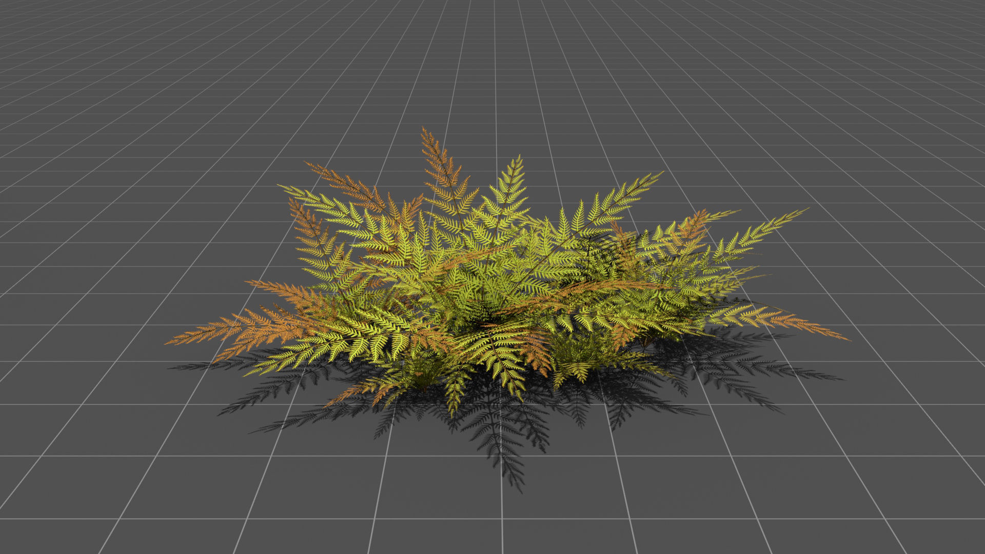 Small Fern - High Quality Low-Poly Models -UE4-Unity-Vray-Corona Low-poly 3D model_1