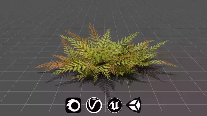 Small Fern - High Quality Low-Poly Models -UE4-Unity-Vray-Corona Low-poly 3D model