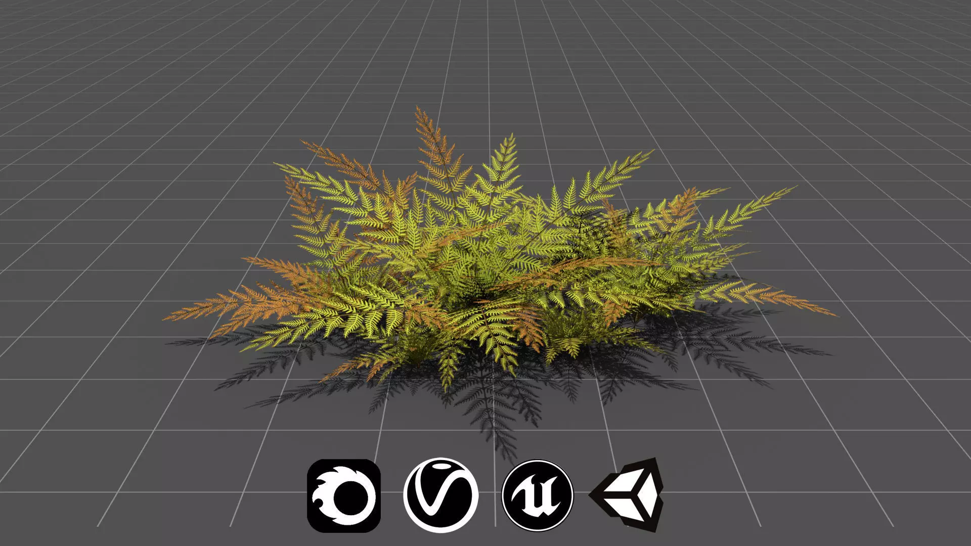 Small Fern - High Quality Low-Poly Models -UE4-Unity-Vray-Corona Low-poly 3D model_0